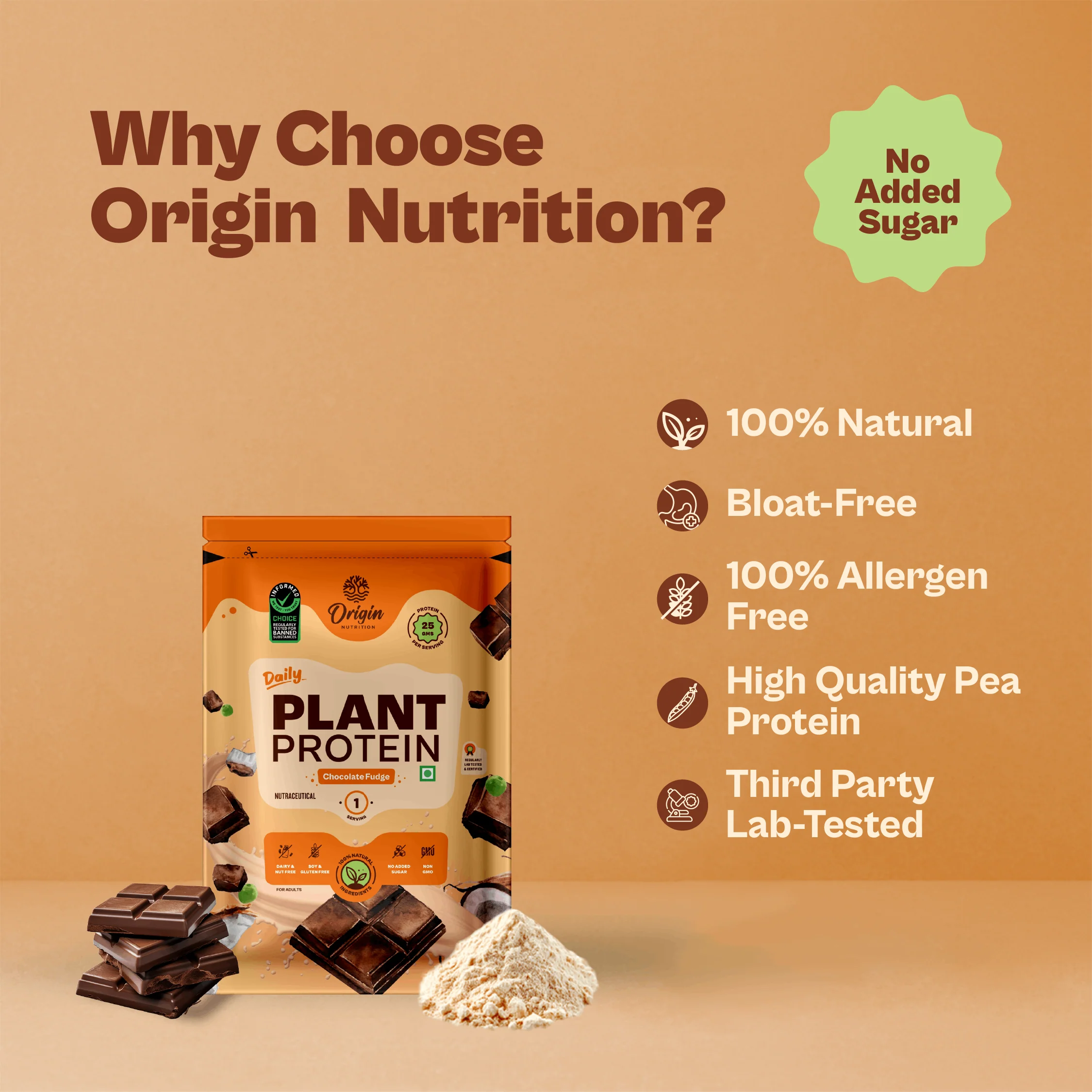 Daily Plant Protein - Chocolate Fudge Starter Pack - Image 4