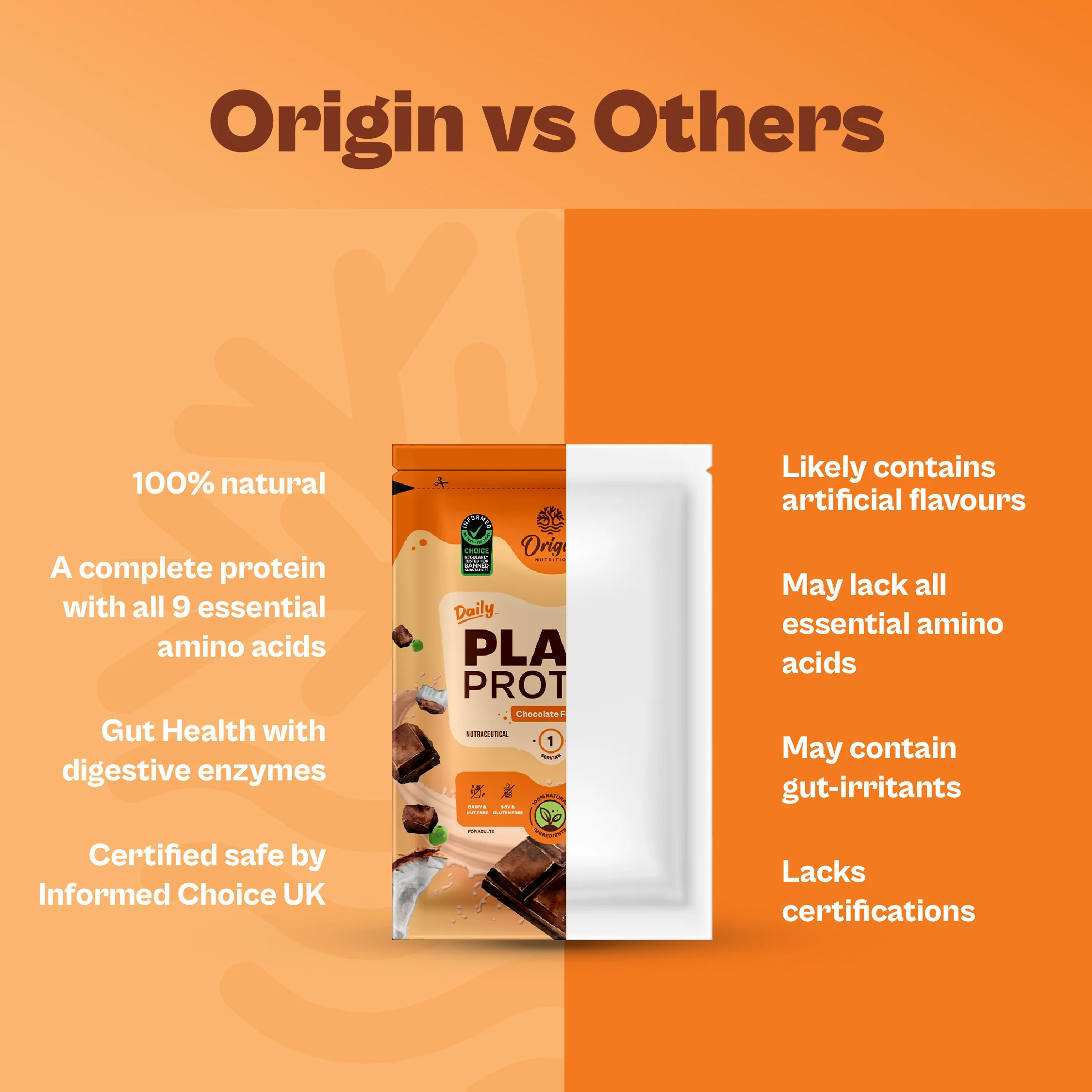 Daily Plant Protein - Chocolate Fudge Starter Pack - Image 6
