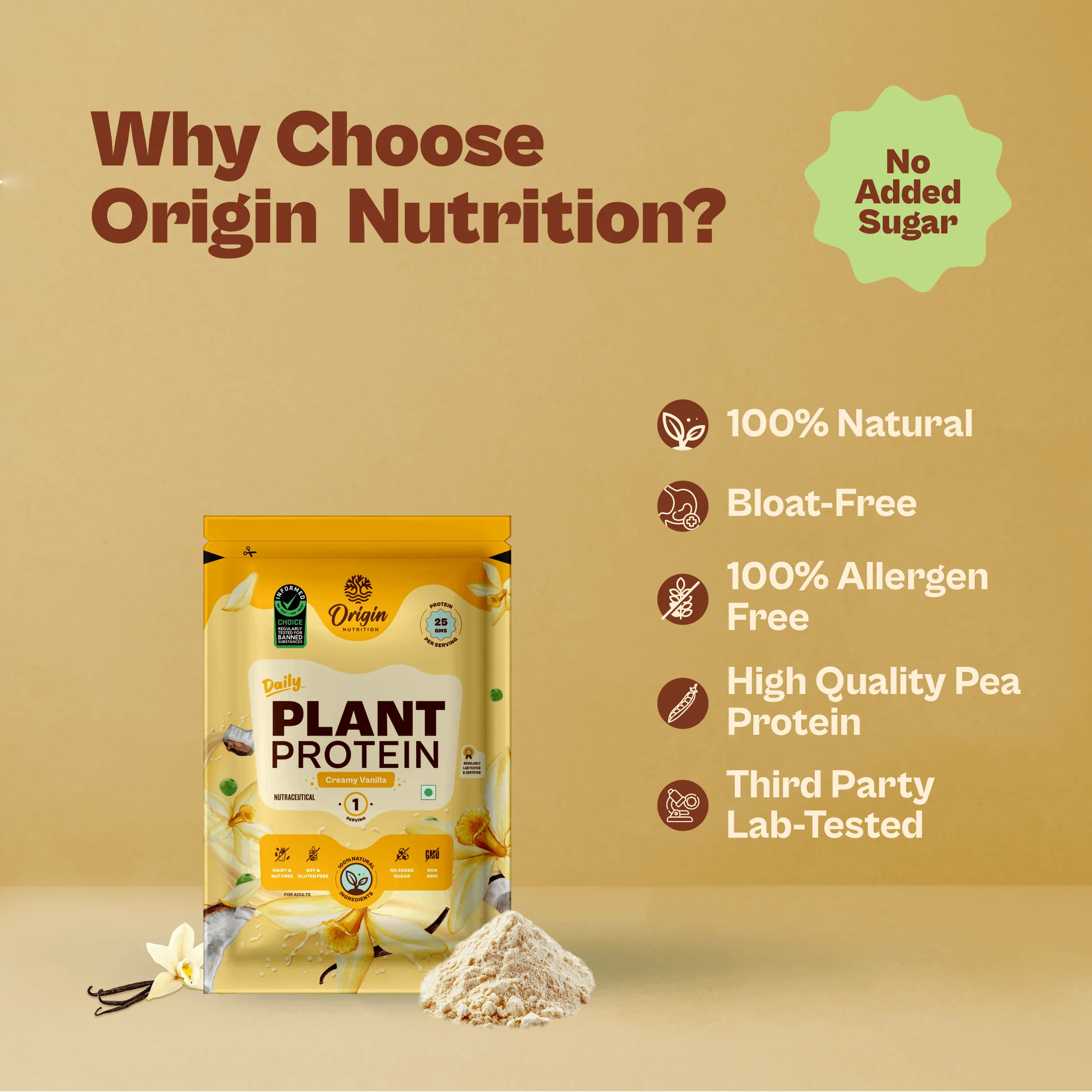 Daily Plant Protein - Creamy Vanilla Starter Pack - Image 5