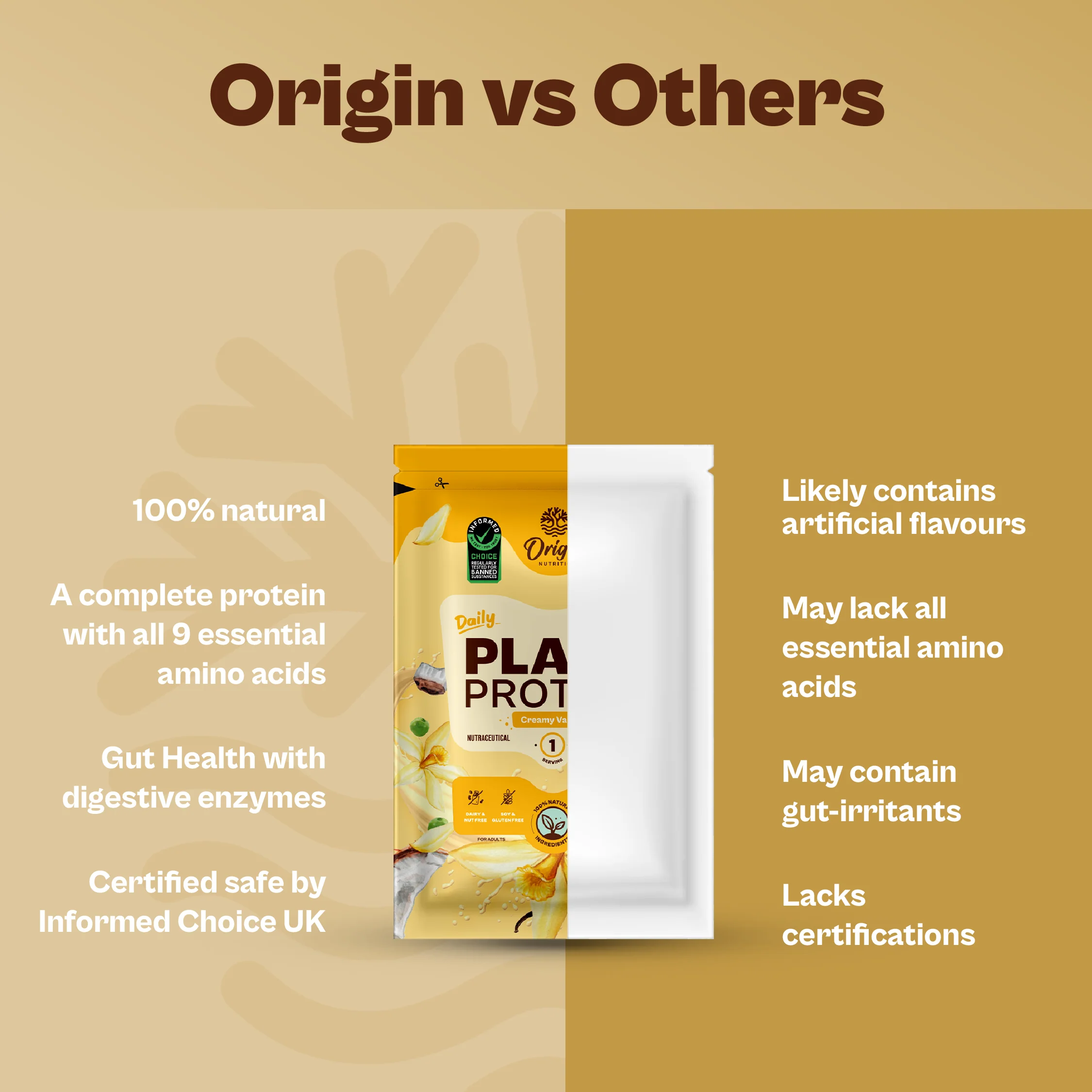 Daily Plant Protein - Creamy Vanilla Starter Pack - Image 6