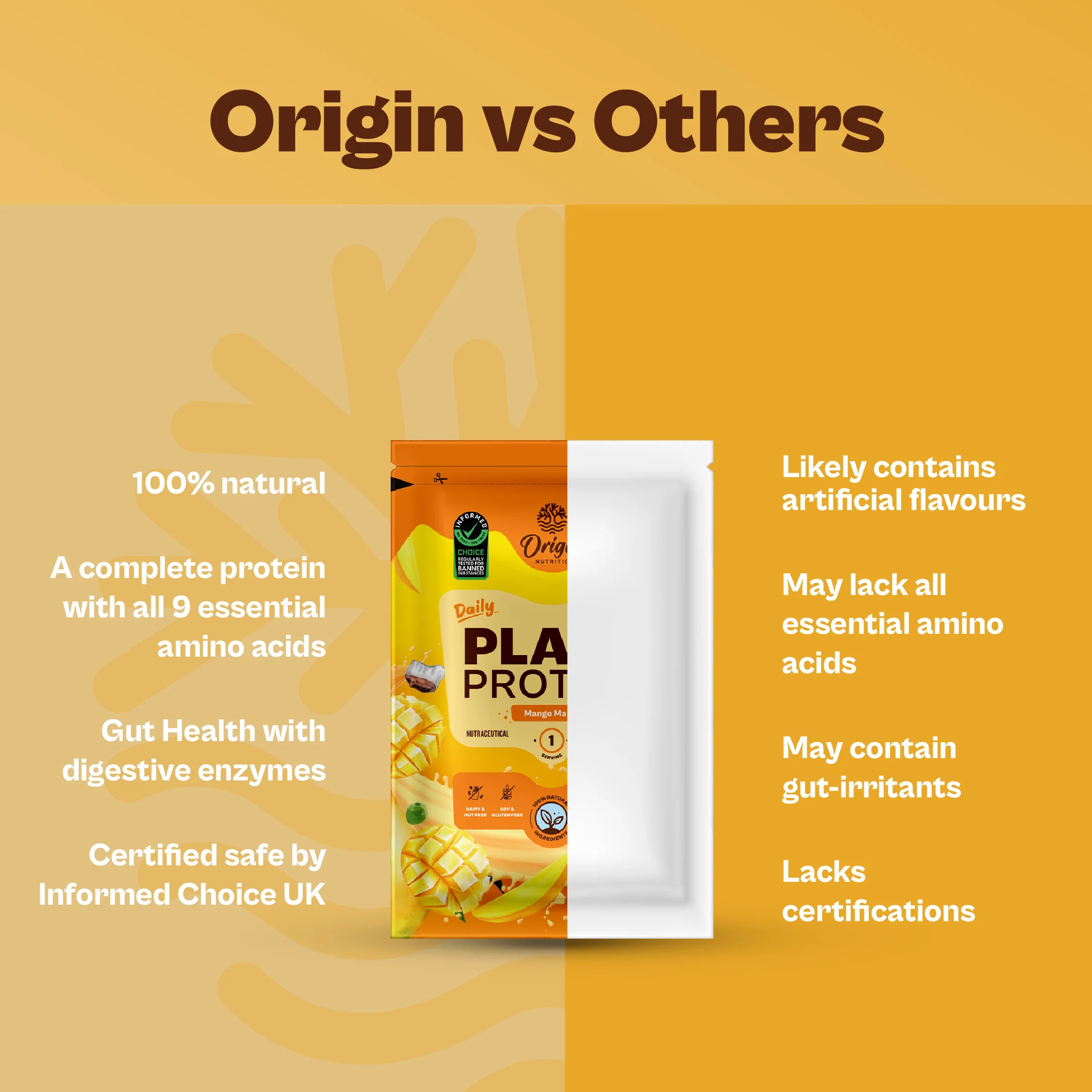 Daily Plant Protein - Mango Mania Starter Pack - Image 6