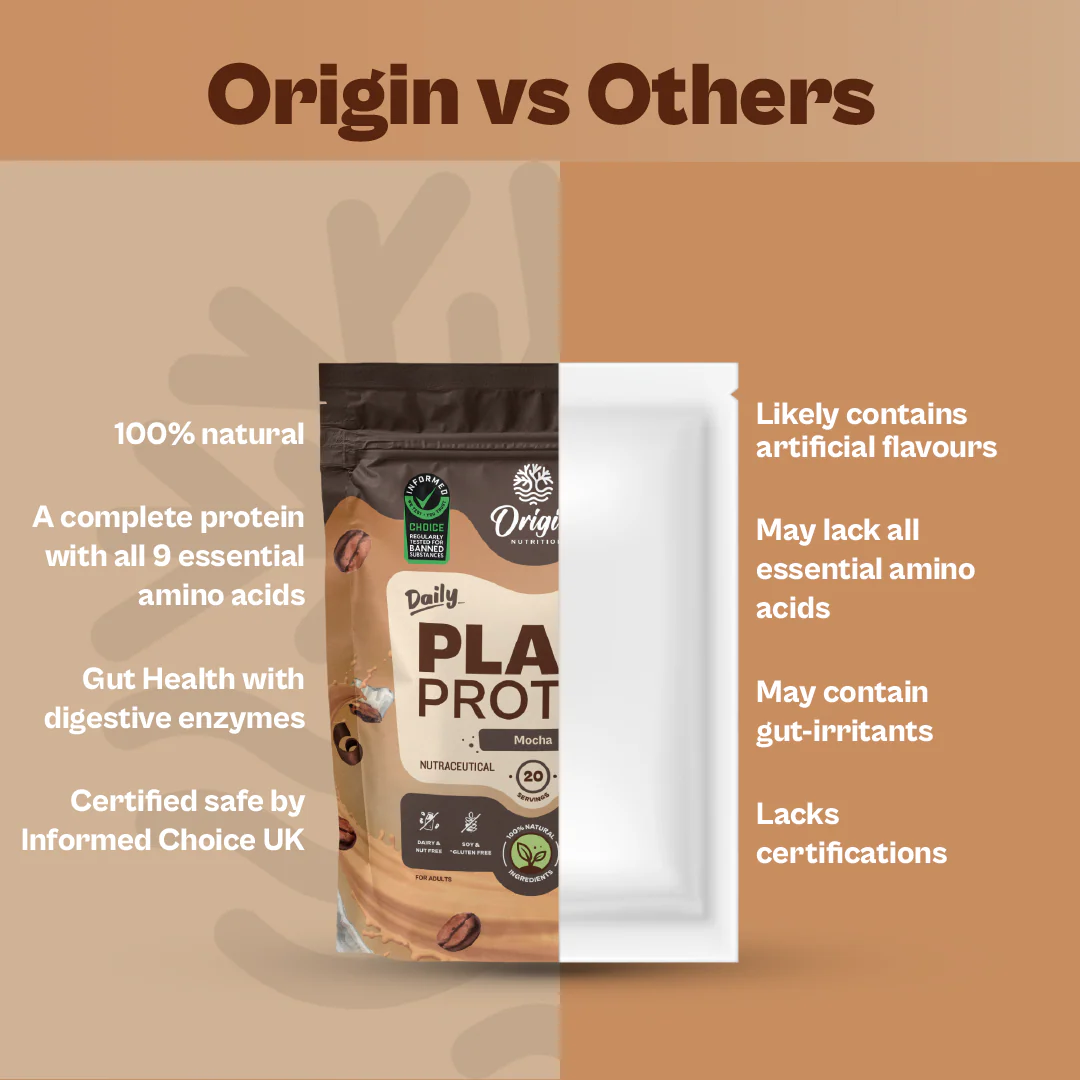 Daily Plant Protein - Mocha - Image 5