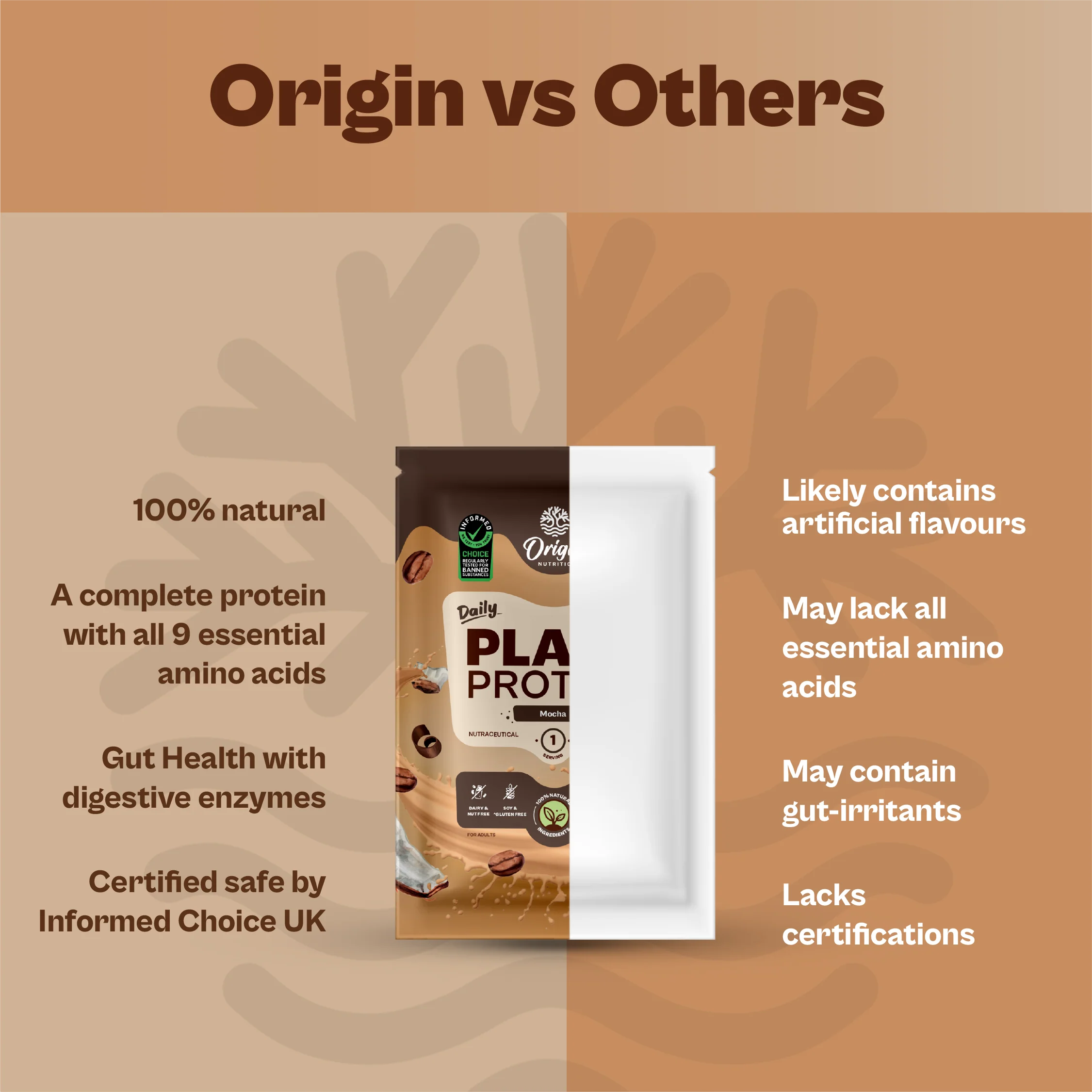 Daily Plant Protein - Mocha Starter Pack - Image 6