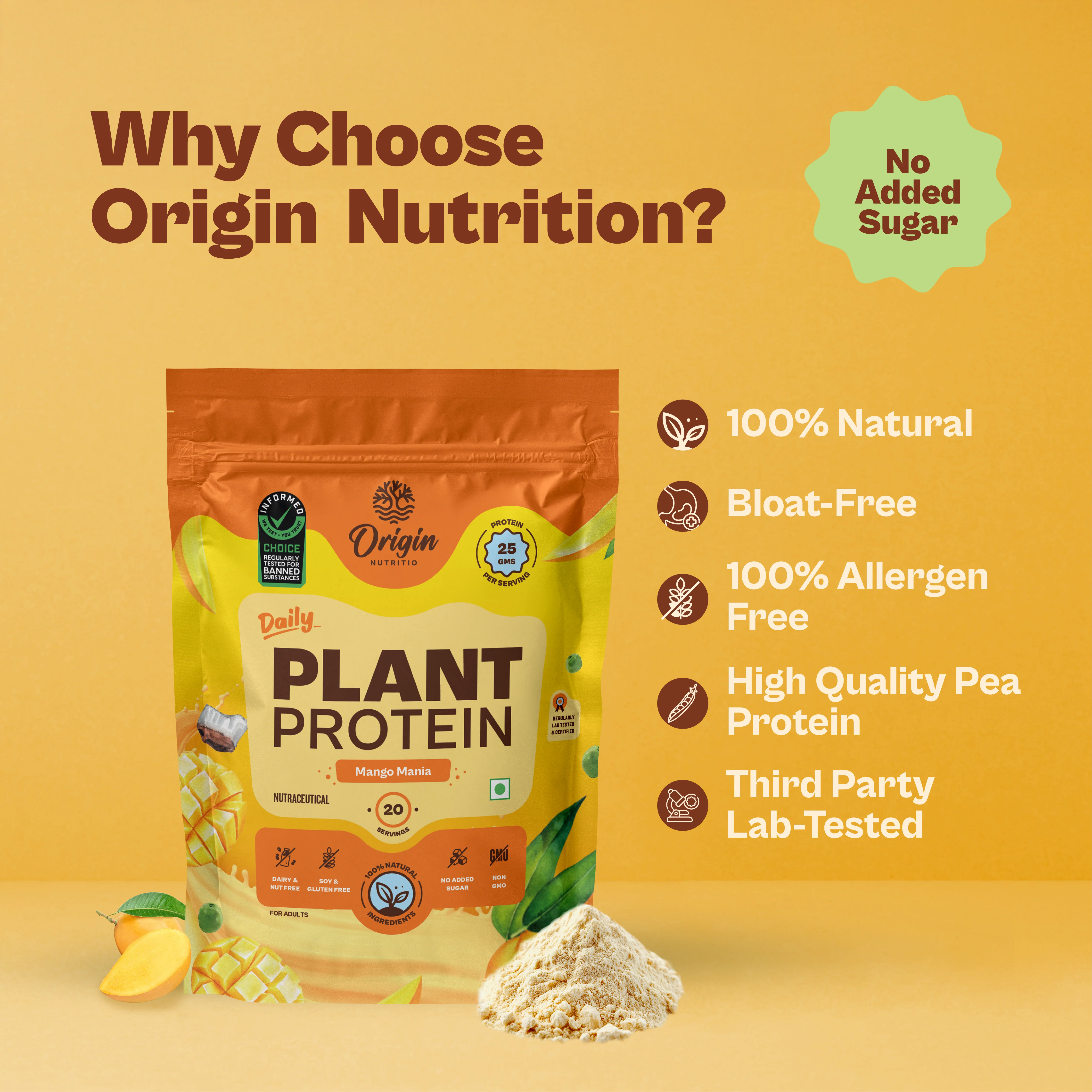 Daily Plant Protein Powder - Mango Mania - Image 5
