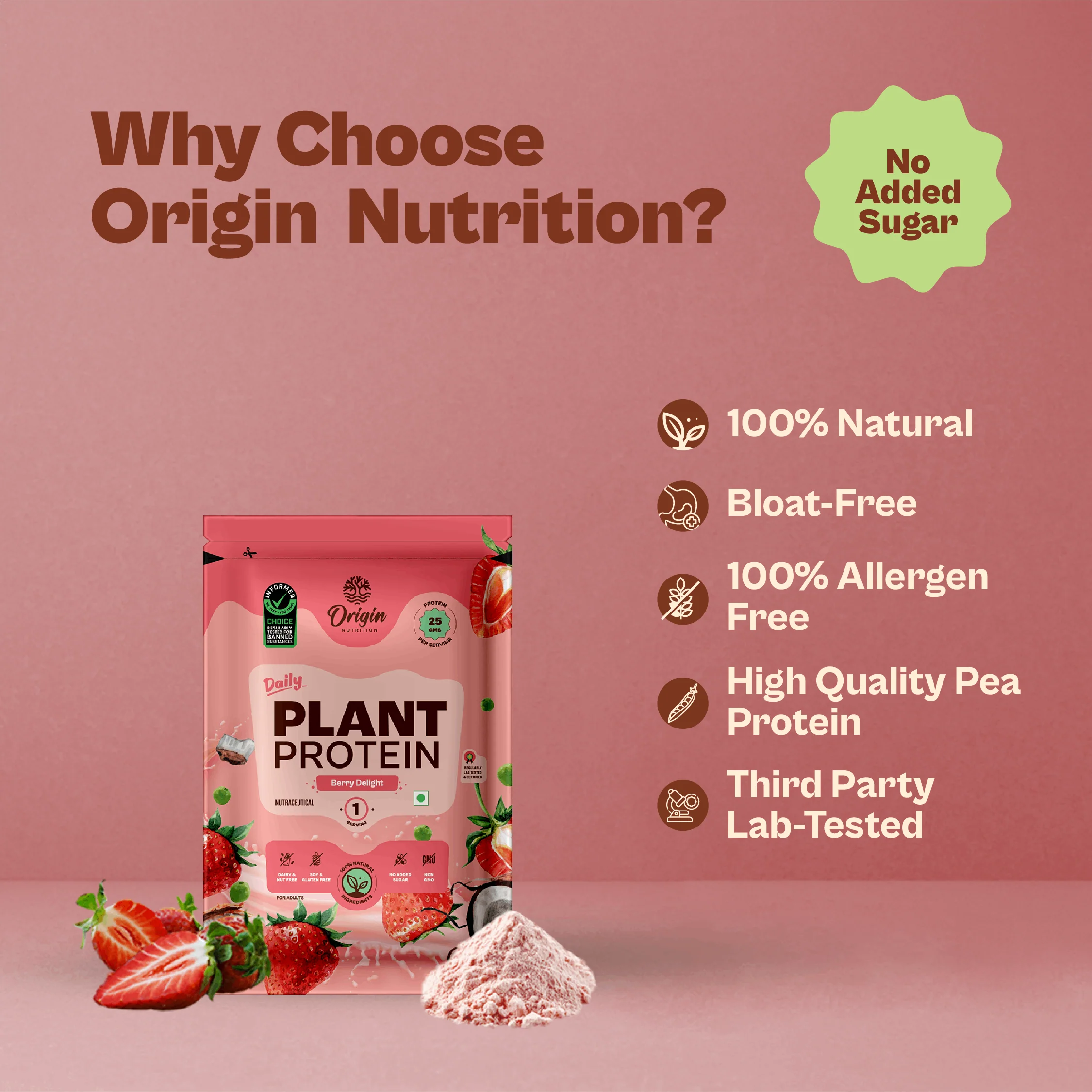 Daily Plant Protein - Strawberry Delight Starter Pack - Image 5