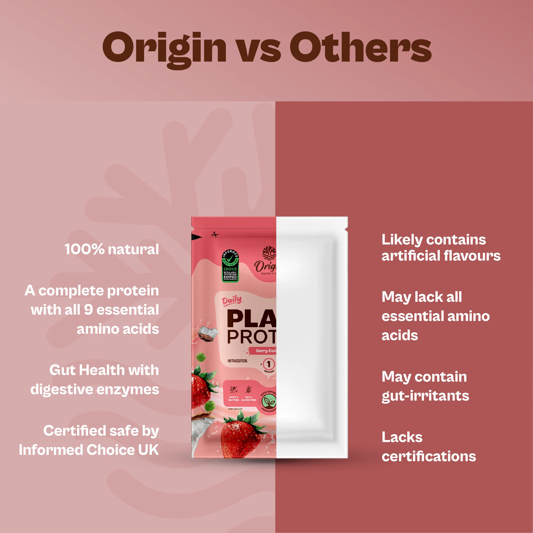 Daily Plant Protein - Strawberry Delight Starter Pack - Image 6