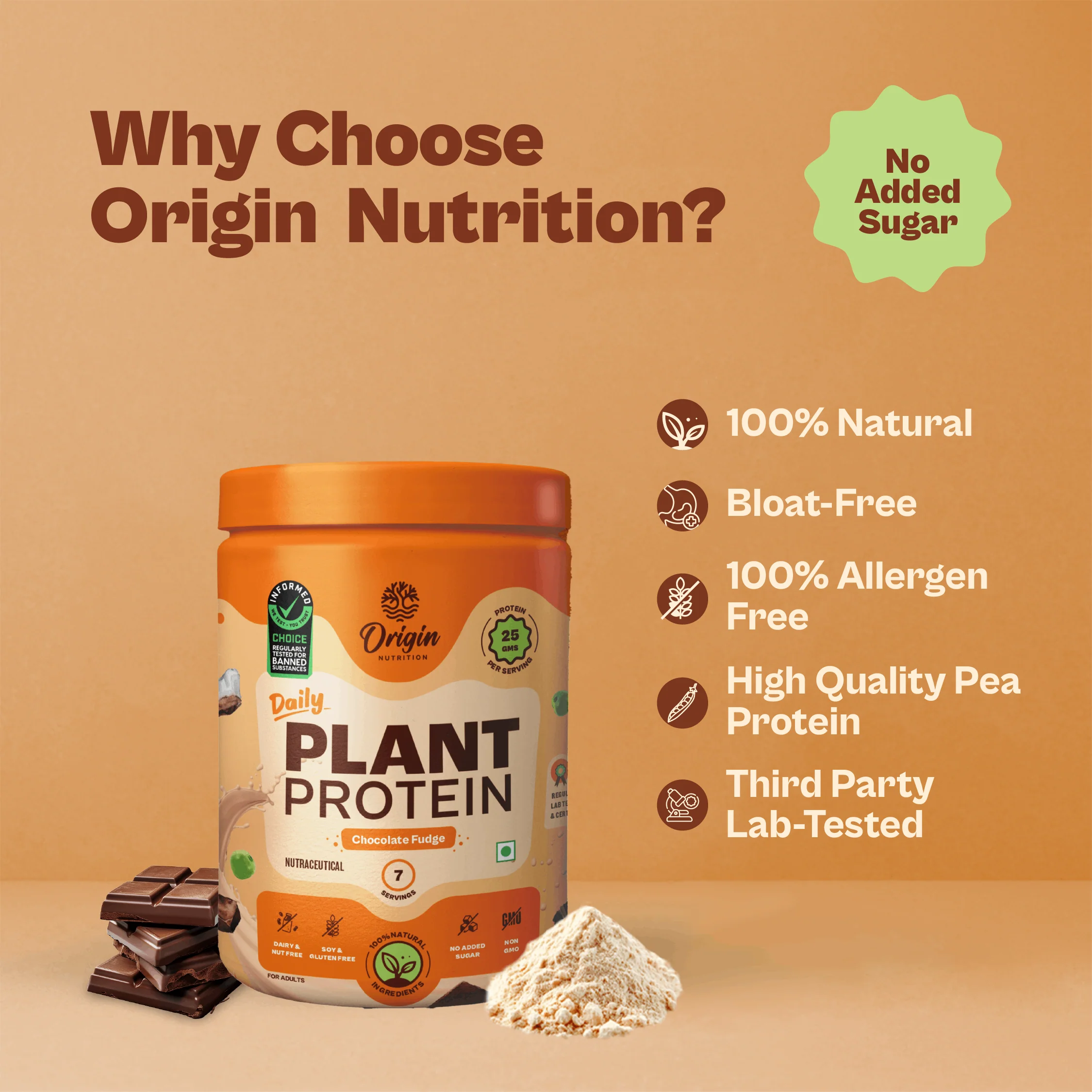 Daily Plant Protein - Chocolate Fudge (Jar) - Image 5