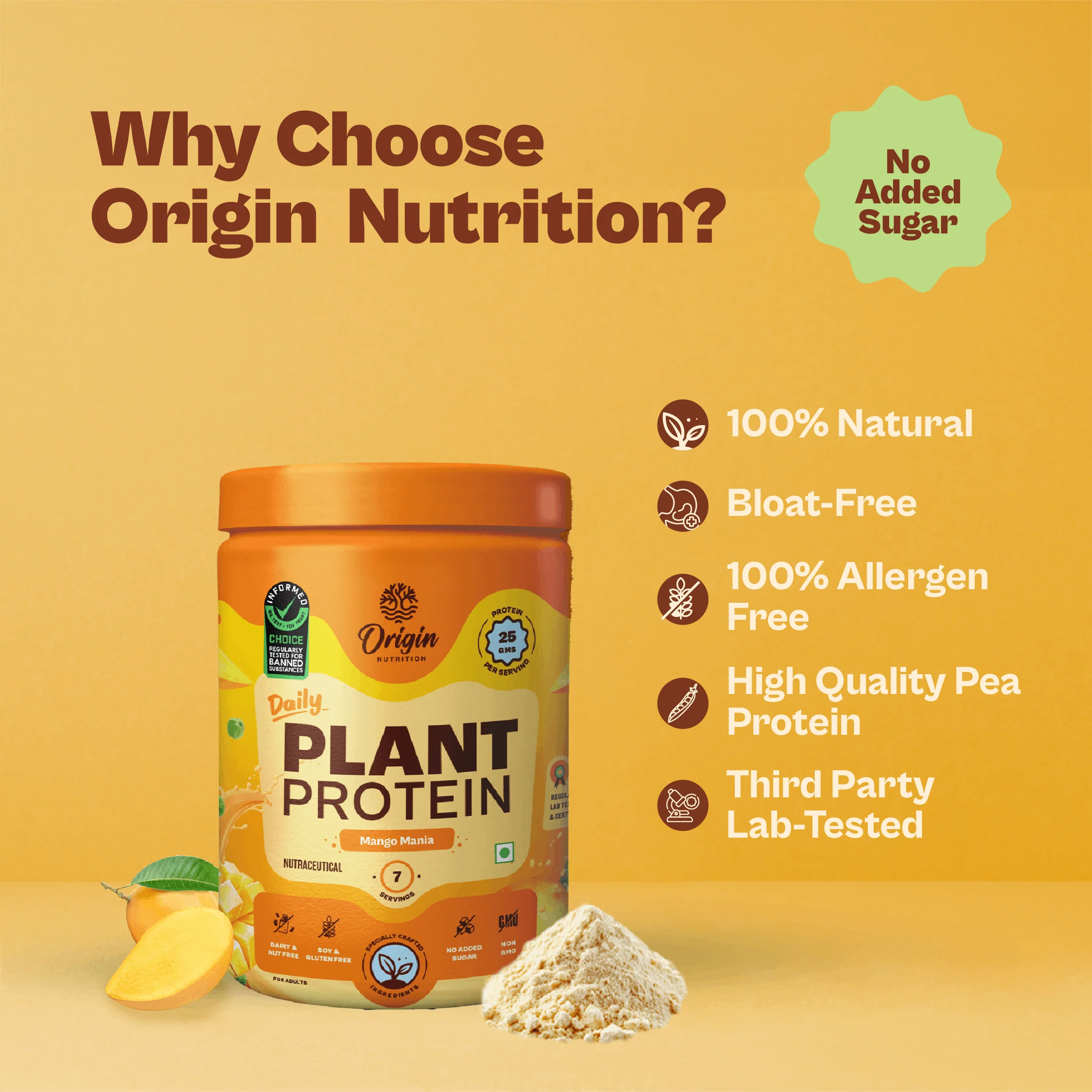 Daily Plant Protein Powder - Mango Mania (Jar) - Image 5