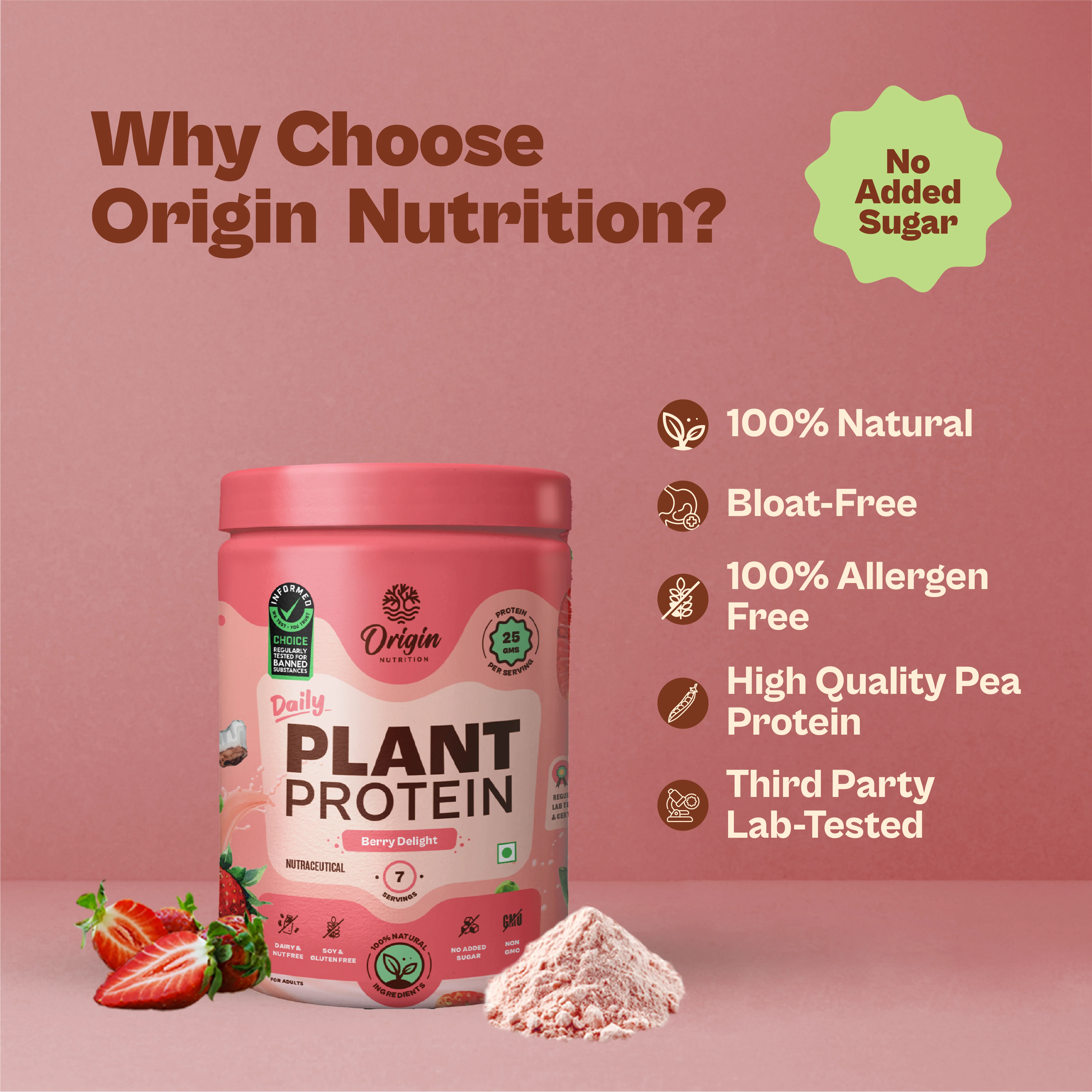 Daily Plant Protein  - Strawberry Delight (Jar) - Image 5