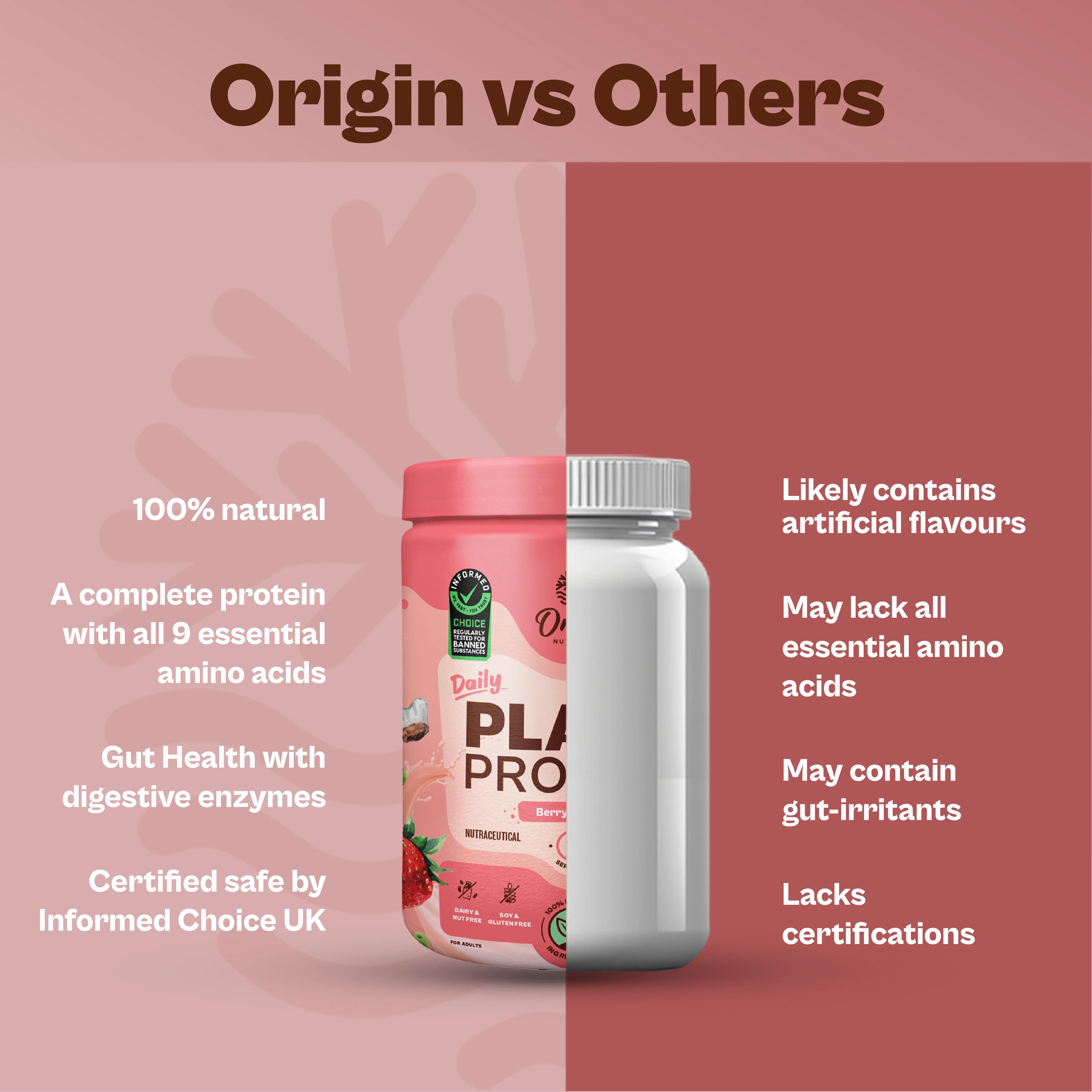 Daily Plant Protein  - Strawberry Delight (Jar) - Image 7