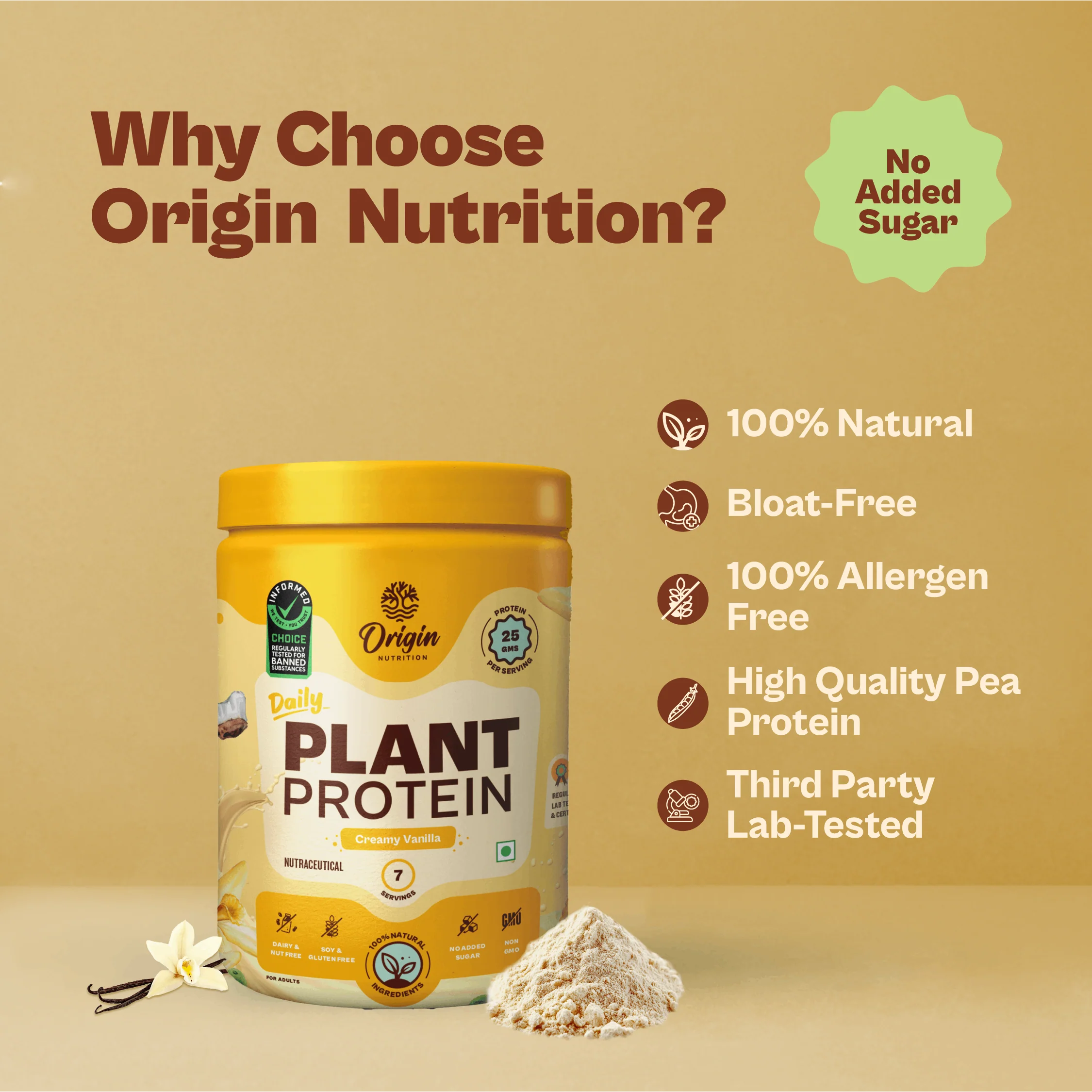 Daily Plant Protein - Creamy Vanilla (Jar) - Image 5