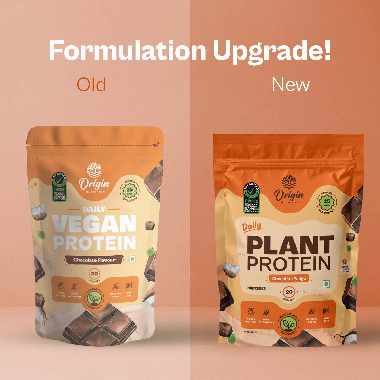 Daily Plant Protein - Chocolate Fudge - Image 5