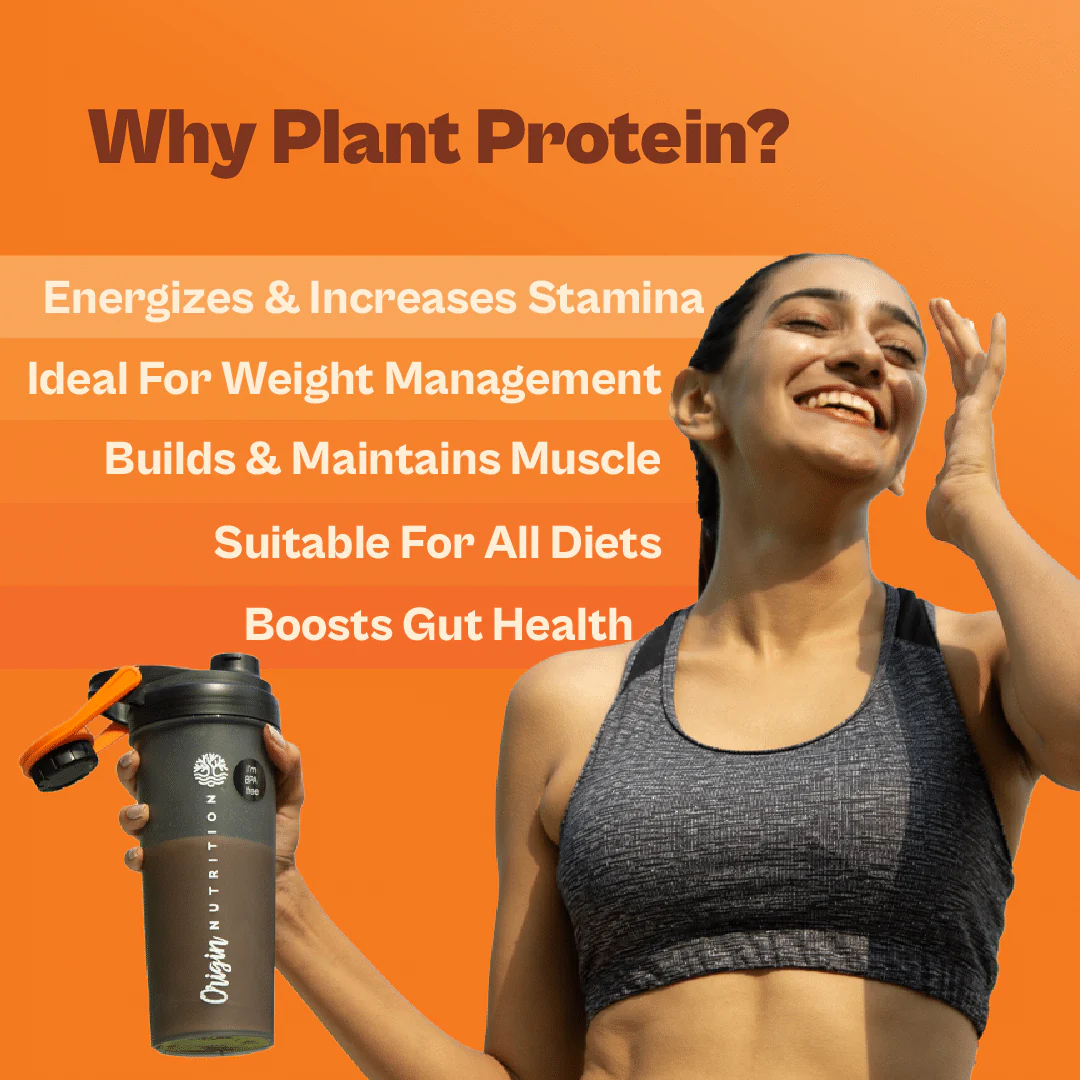 Daily Plant Protein - Chocolate Fudge - Image 6