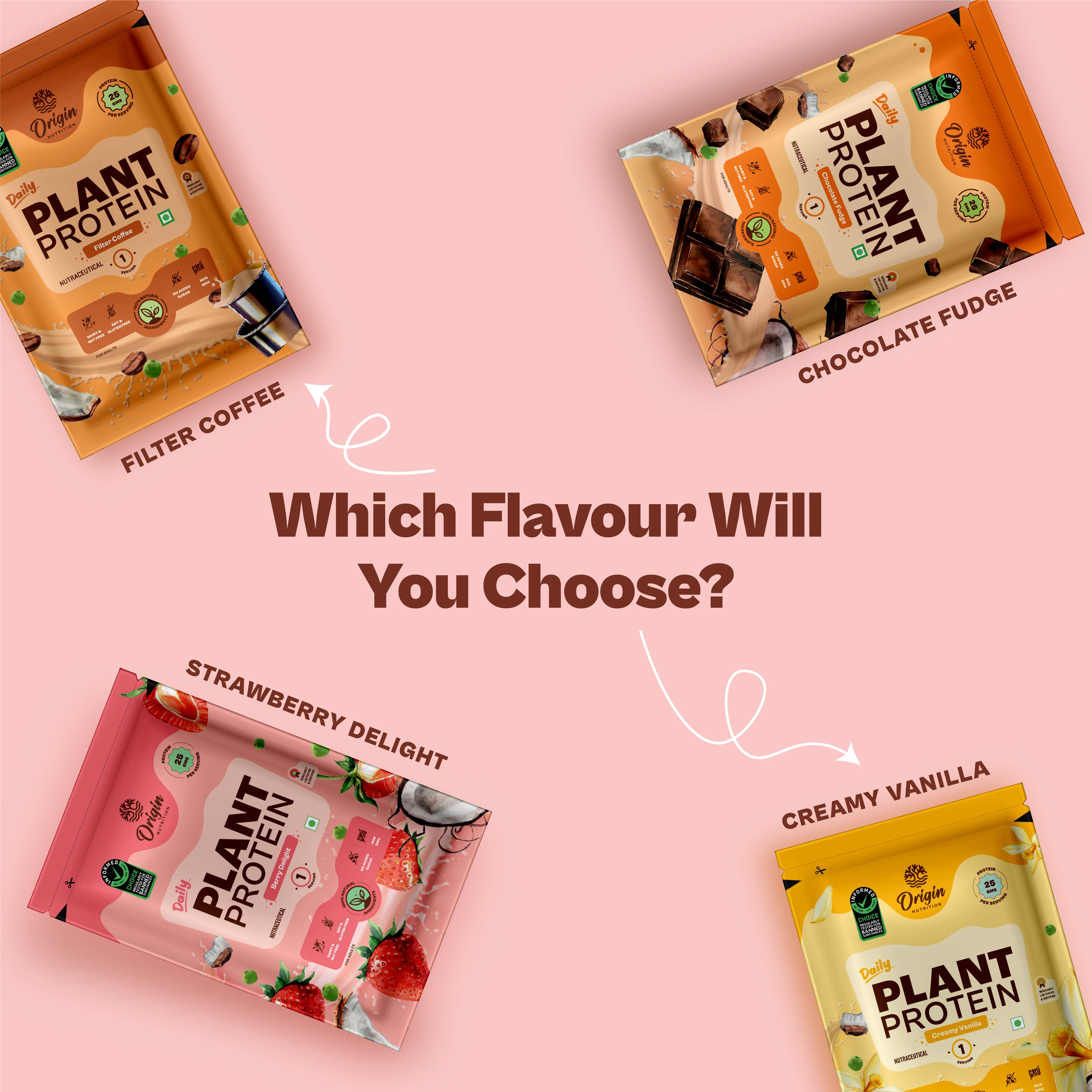 Daily Plant Protein - Assorted Pack - Image 10