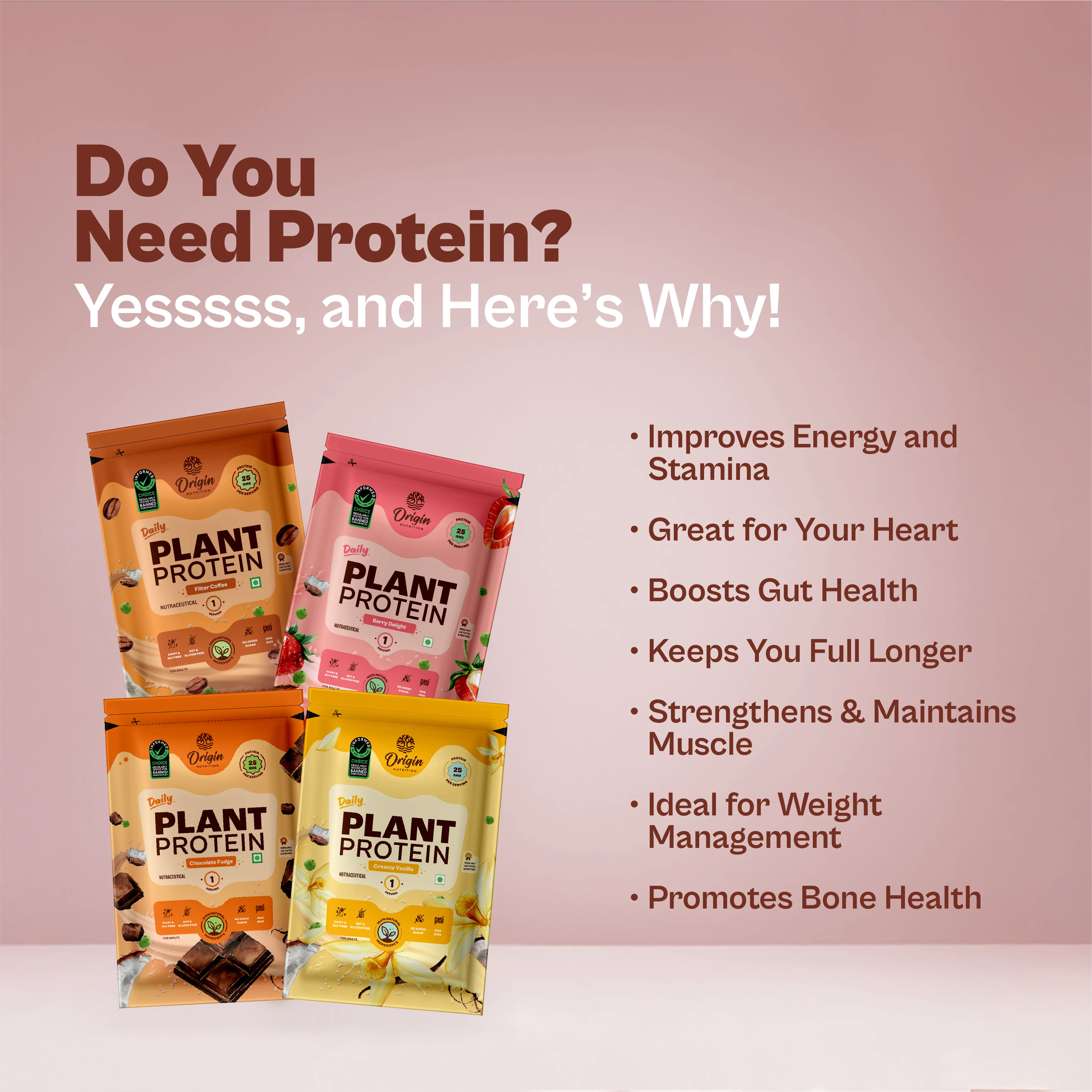 Daily Plant Protein - Assorted Pack - Image 4