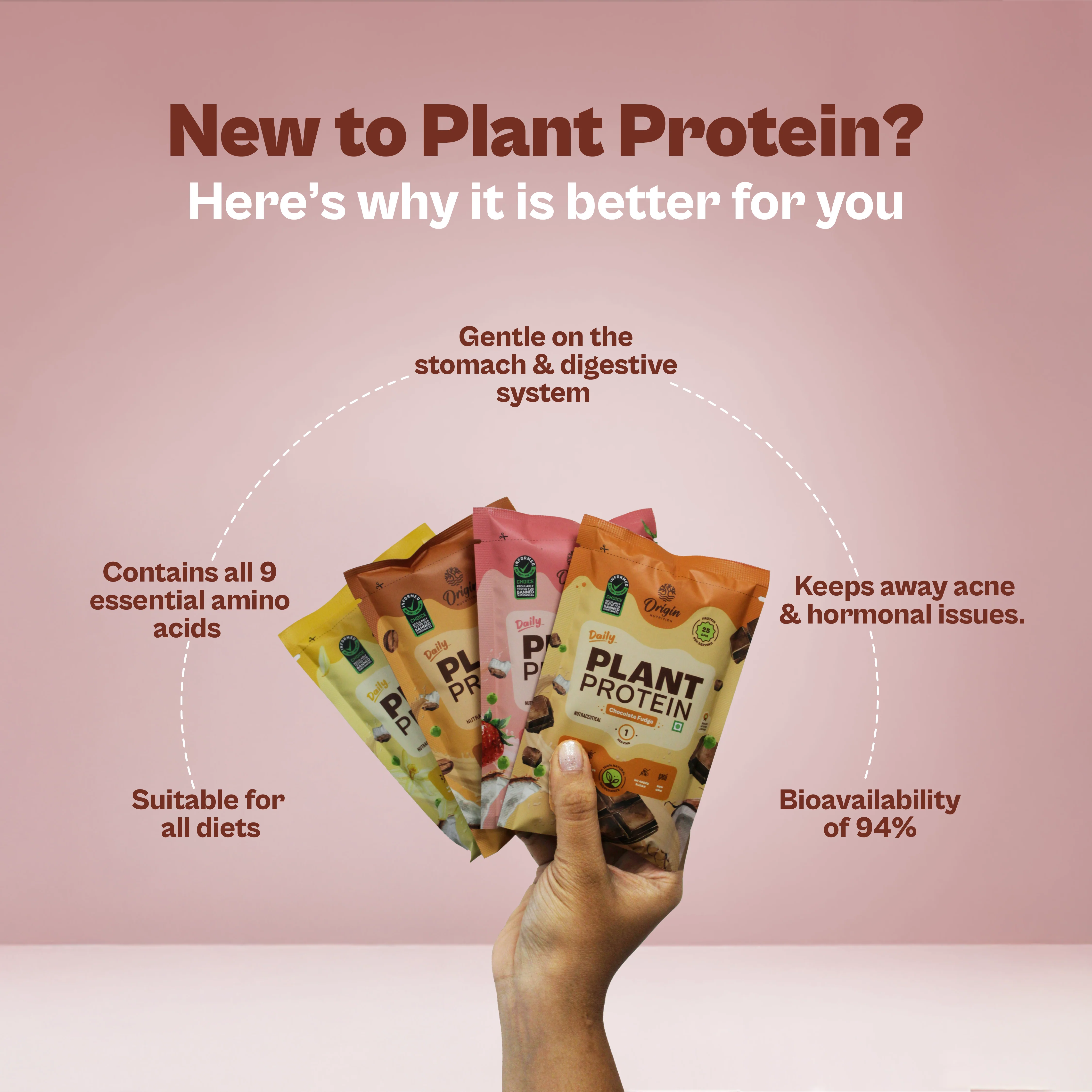Daily Plant Protein - Assorted Pack - Image 5