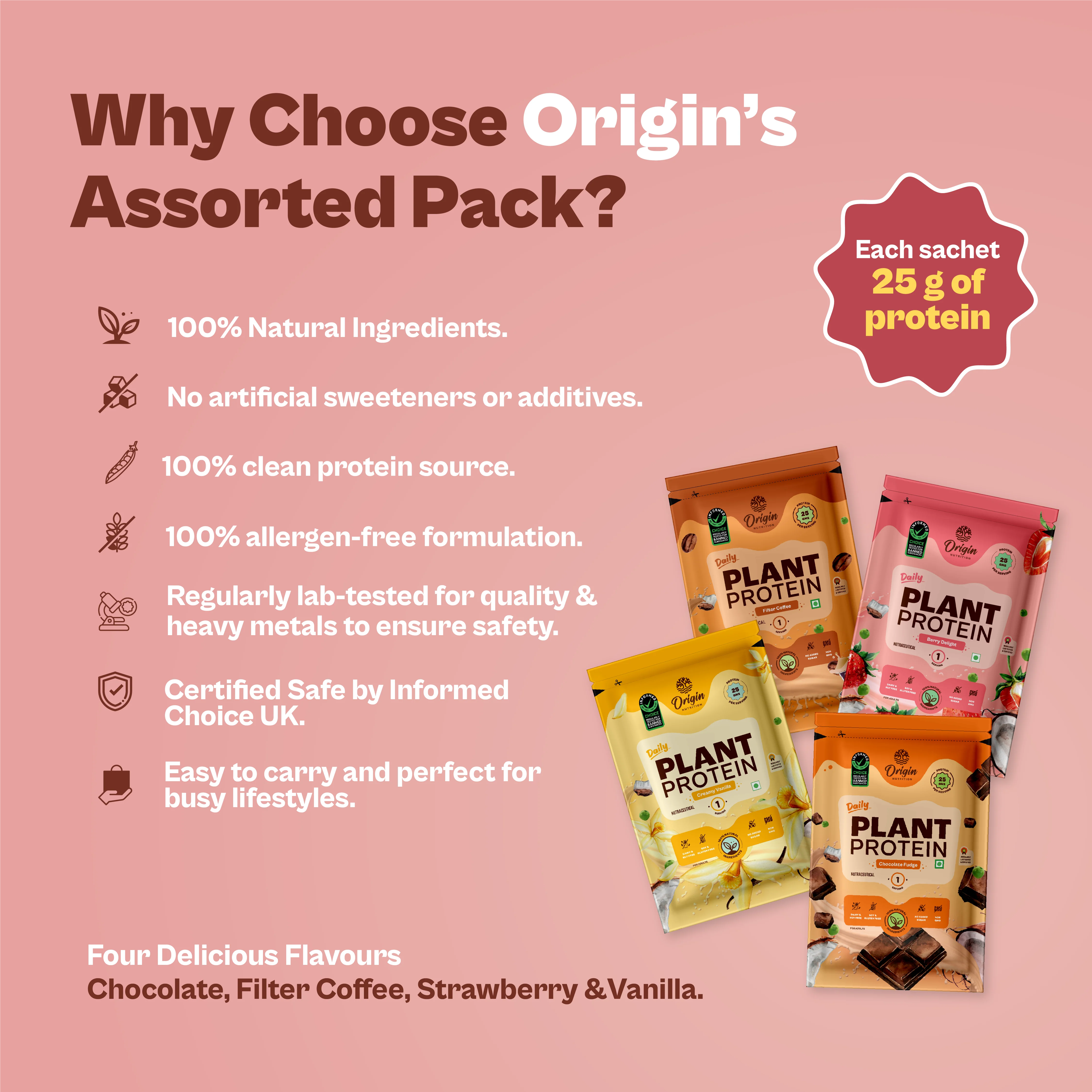 Daily Plant Protein - Assorted Pack - Image 6