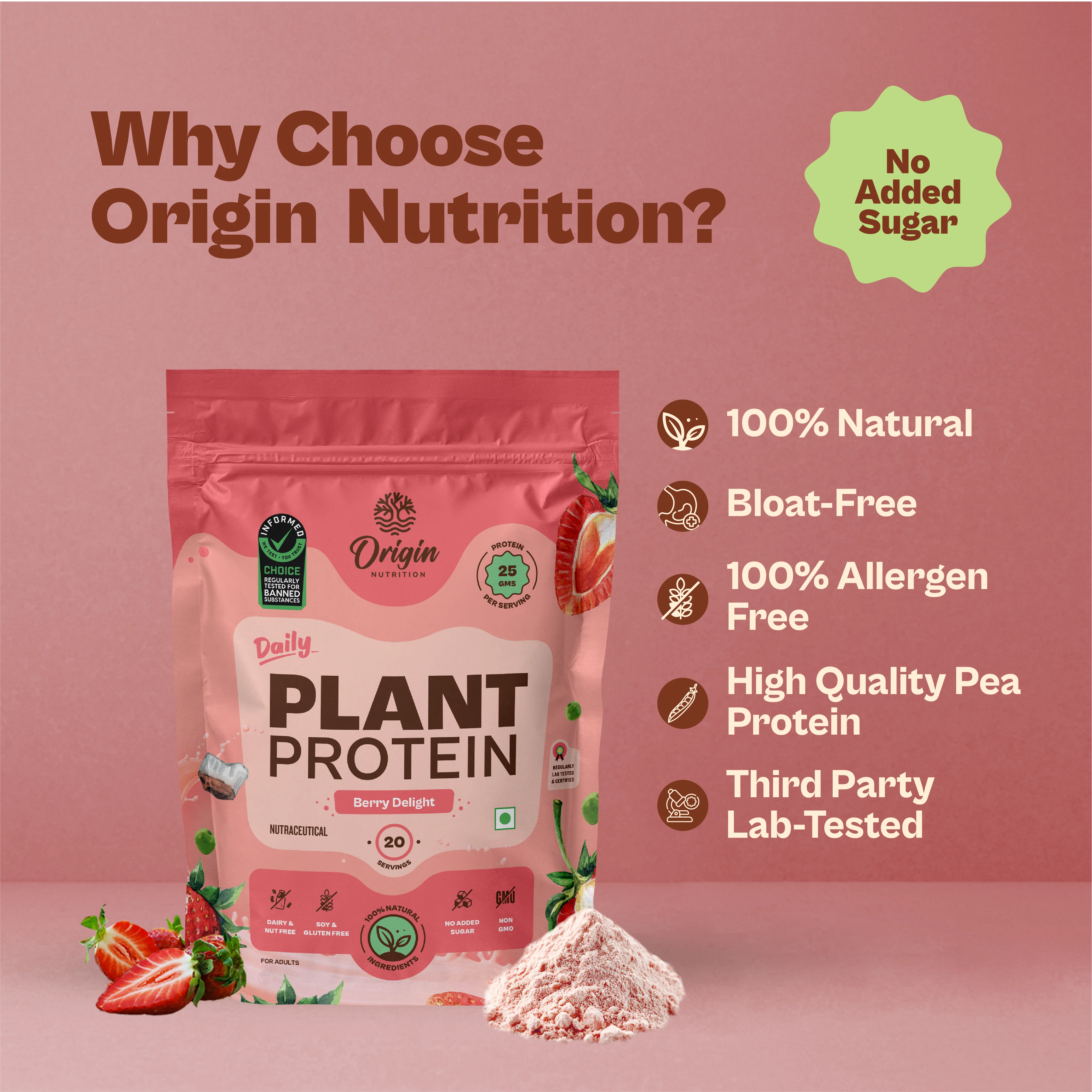 Daily Plant Protein - Strawberry Delight - Image 5