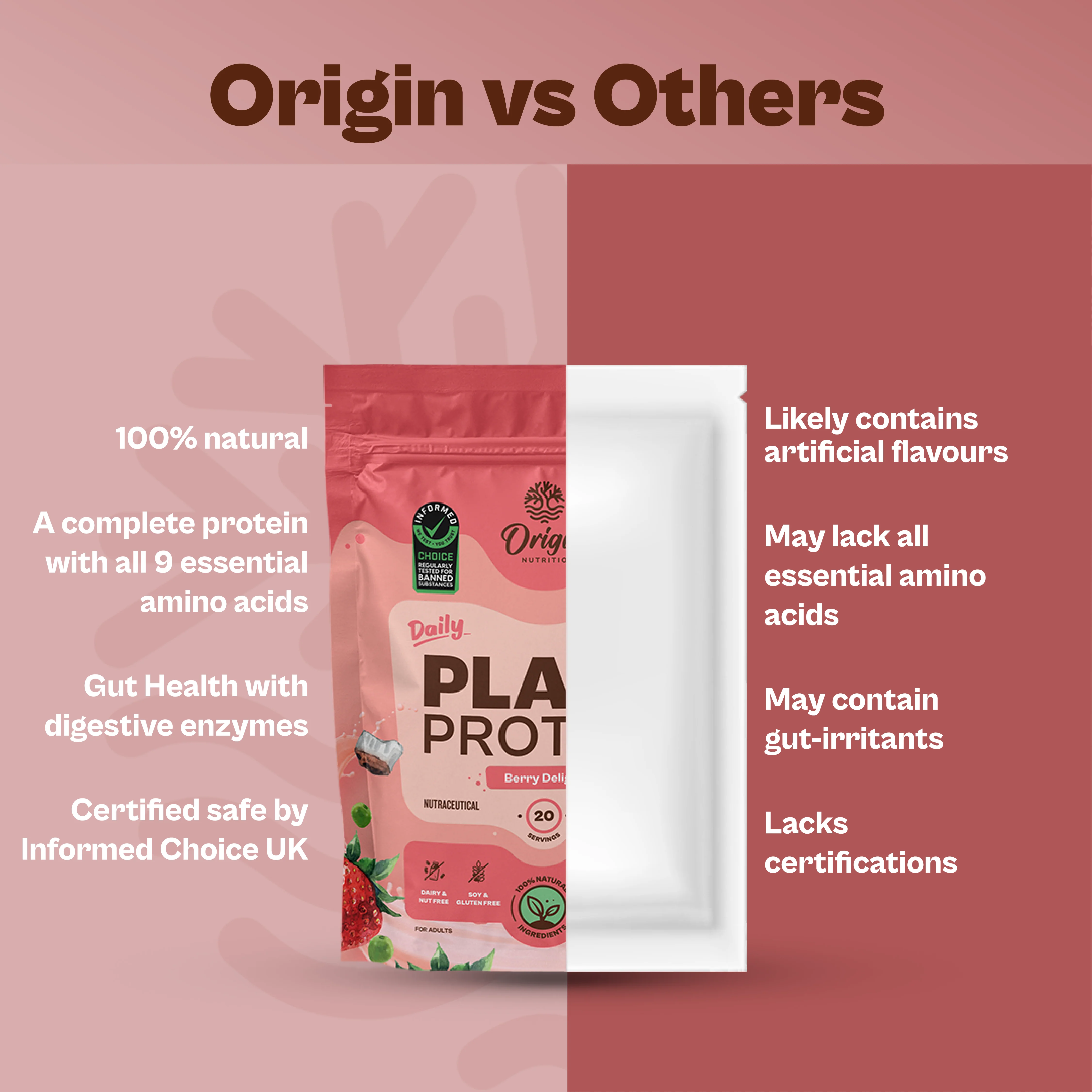 Daily Plant Protein - Strawberry Delight - Image 7