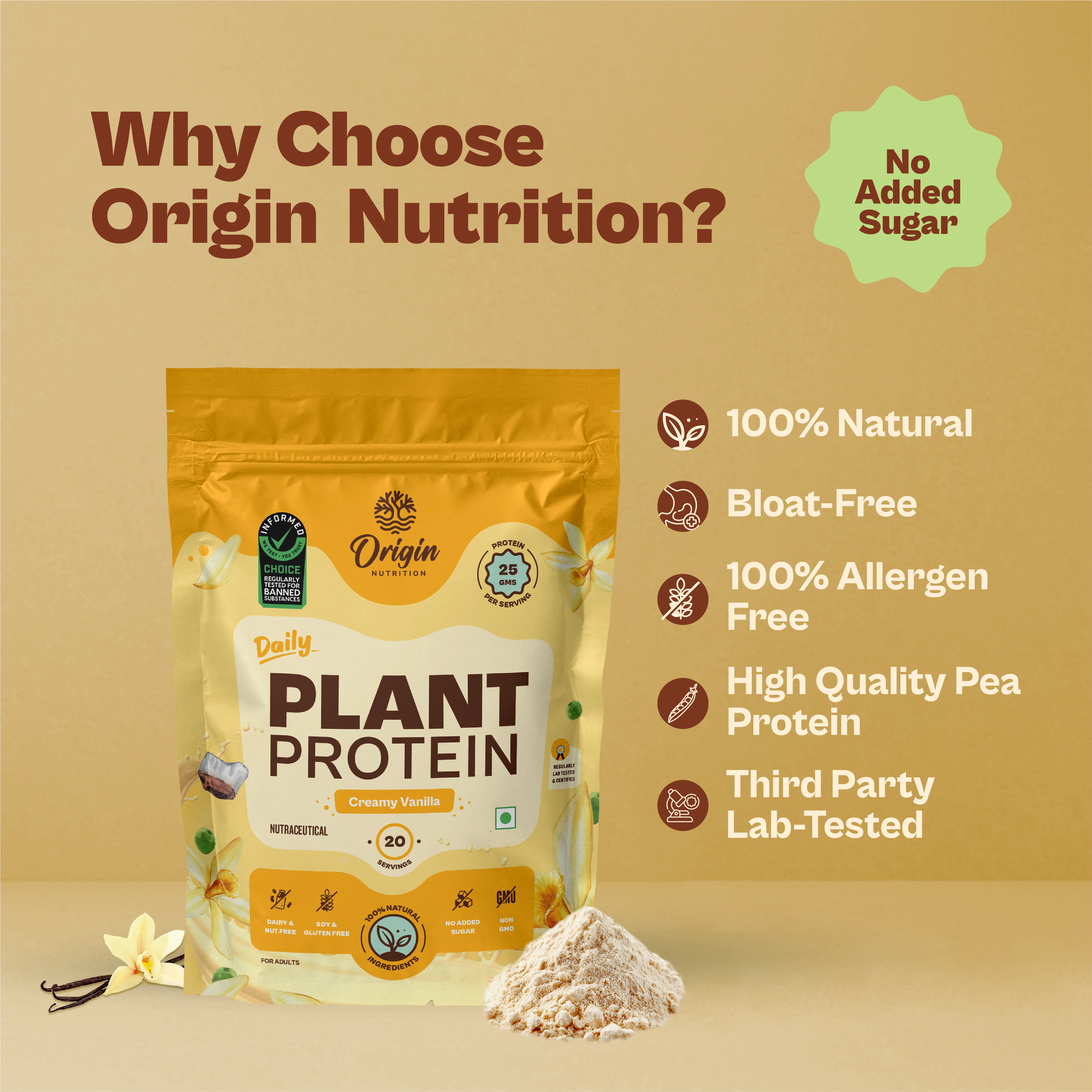 Daily Plant Protein - Creamy Vanilla - Image 5